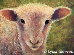 Shirley The Sheep In Pastel e-Packet